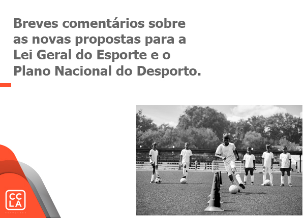 Breves comentários sobre as novas propostas para a Lei Geral do Esporte e o Plano Nacional do Desporto