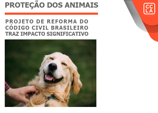 O anteprojeto do novo Código Civil, com a inclusãoa artigo 91-A, representará um avanço na qualificação jurídica dos animais no Brasil, ao reconhecer a sua singularidade e afirmar sua condição como sujeitos de direitos.