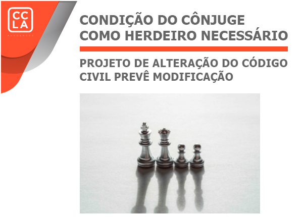 Código Civil – Projeto de Lei - Herdeiro Necessário – modificação da condição do cônjuge como herdeiro necessário.