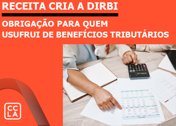 O principal objetivo da criação da DIRBI é fornecer à RFB um controle dos créditos tributários que não foram recolhidos em razão do gozo de incentivos, renúncias, imunidades e benefícios aproveitados pelos contribuintes.